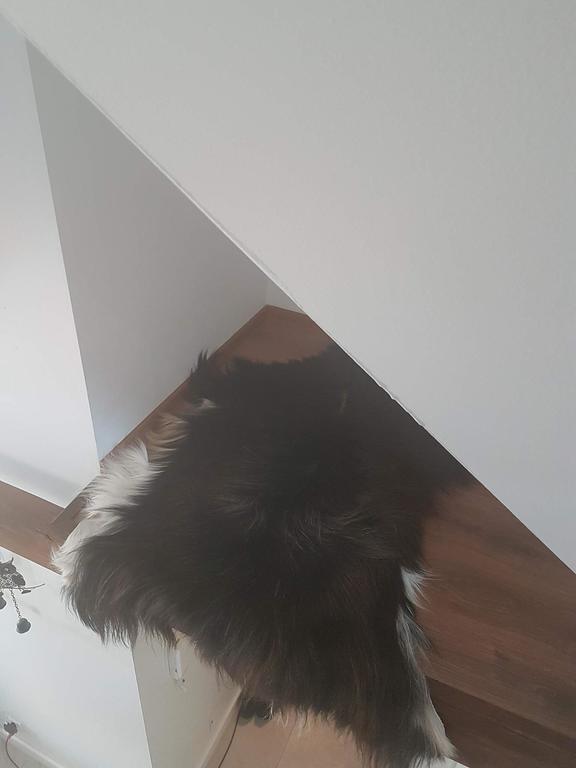 Apartament Palisander Kościelisko Exteriör bild