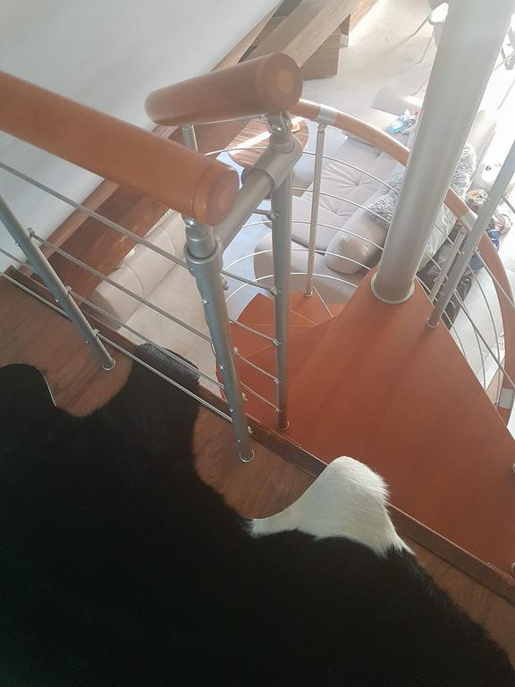 Apartament Palisander Kościelisko Exteriör bild